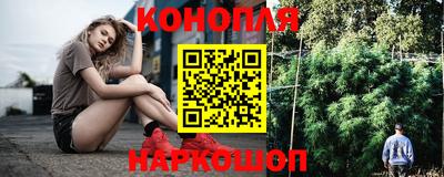 прущие крисы Малгобек