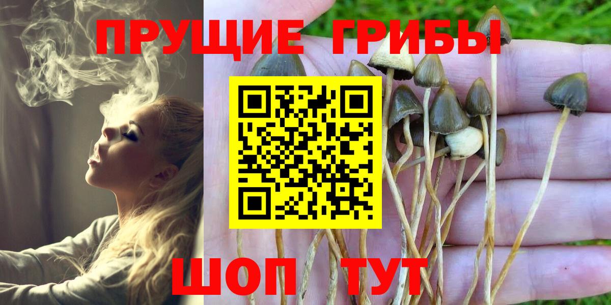 Соль-Илецк  Псилоцибиновые грибы GOLDEN TEACHER  Вход с VPN 