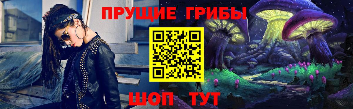 Псилоцибиновые грибы Cubensis Соль-Илецк